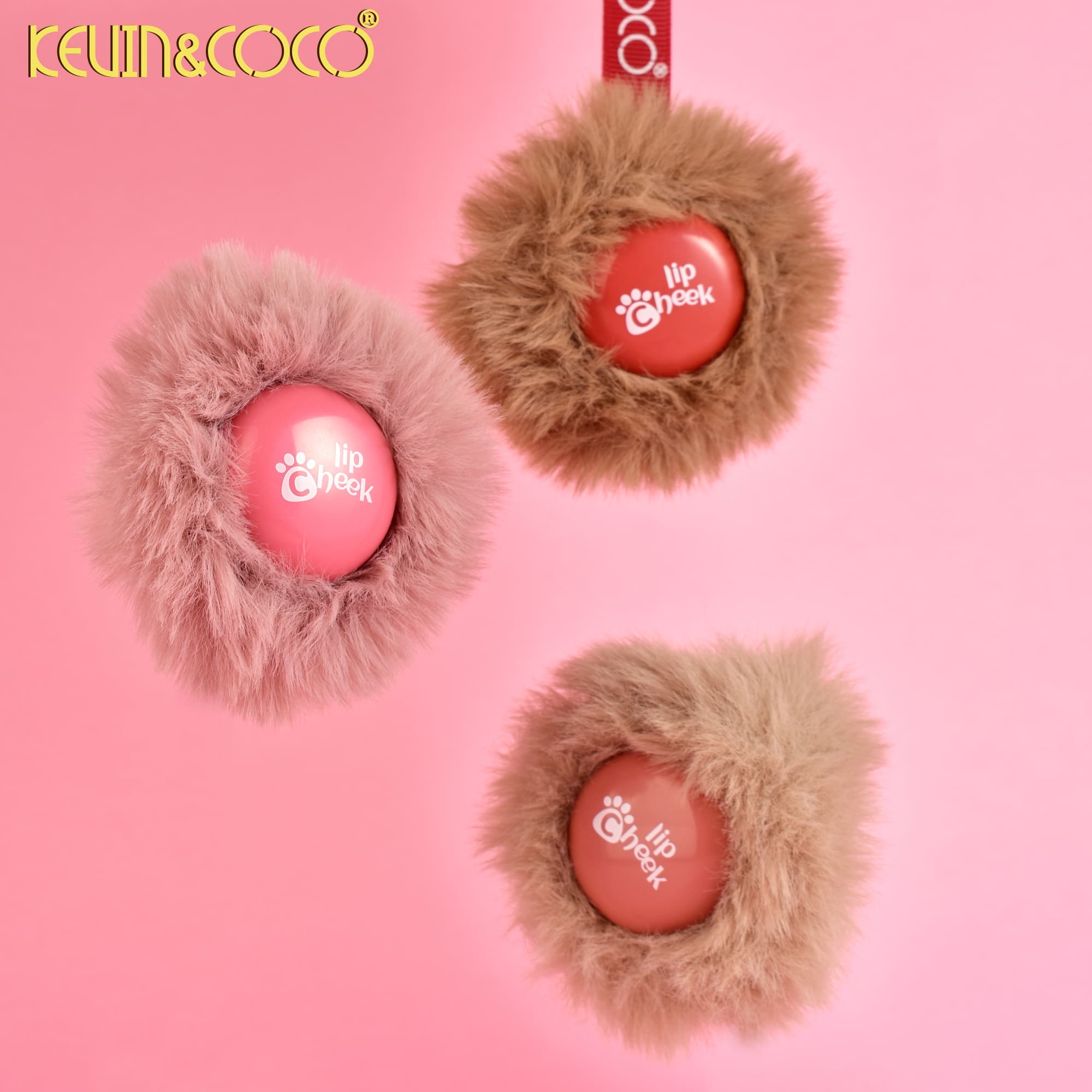 KC247875 (7)