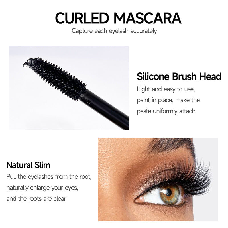 3 IN 1 Máscara de Pestaña & Brillo Labial & Delineador de Ojos