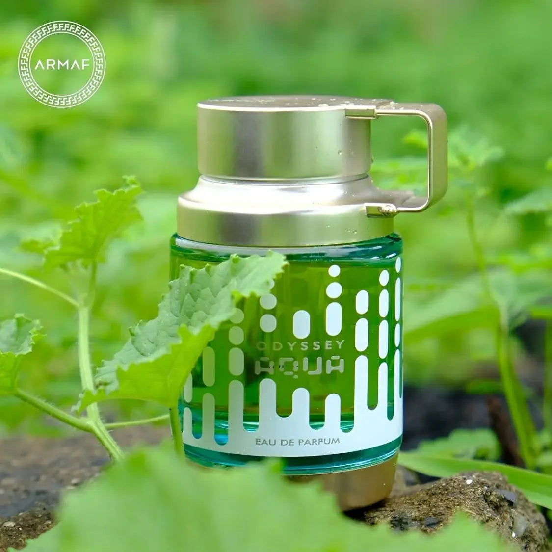 Eau de Parfum Odyssey Aqua 100 ml, Perfume Árabe para Hombres. Larga Duración