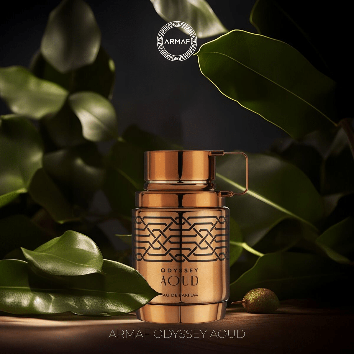 Perfume Árabe Odyssey Aoud de Armaf,  Eau de Parfum para Hombre, Larga Duración, 100 ml.